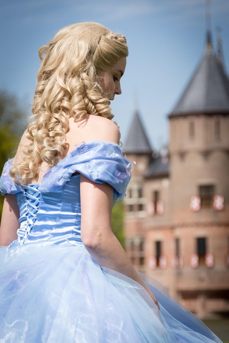 Cinderella Inspired Look